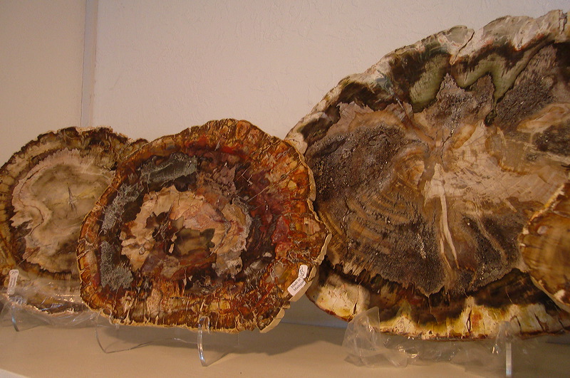 dsc00418.jpg