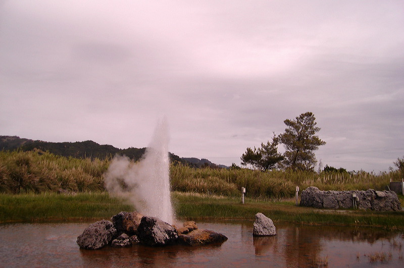 dsc00458.jpg