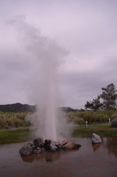 dsc00461.jpg