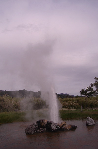 dsc00467.jpg