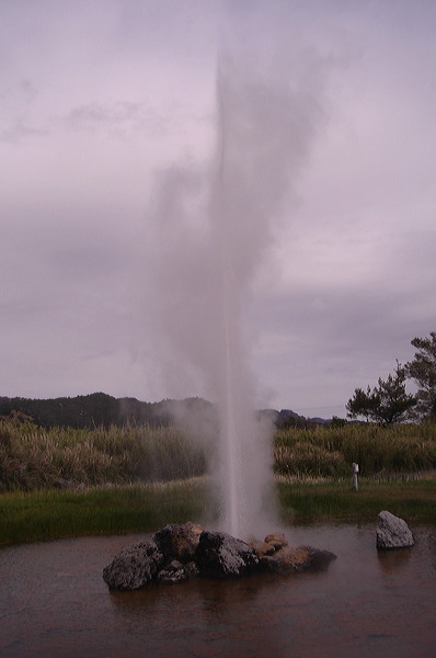 dsc00471.jpg
