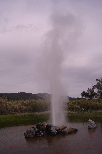 dsc00472.jpg