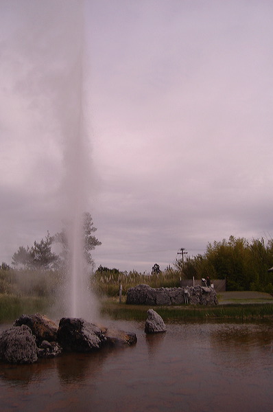 dsc00474.jpg