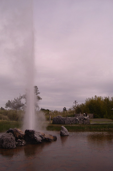 dsc00475.jpg