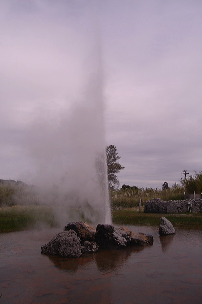 dsc00476.jpg