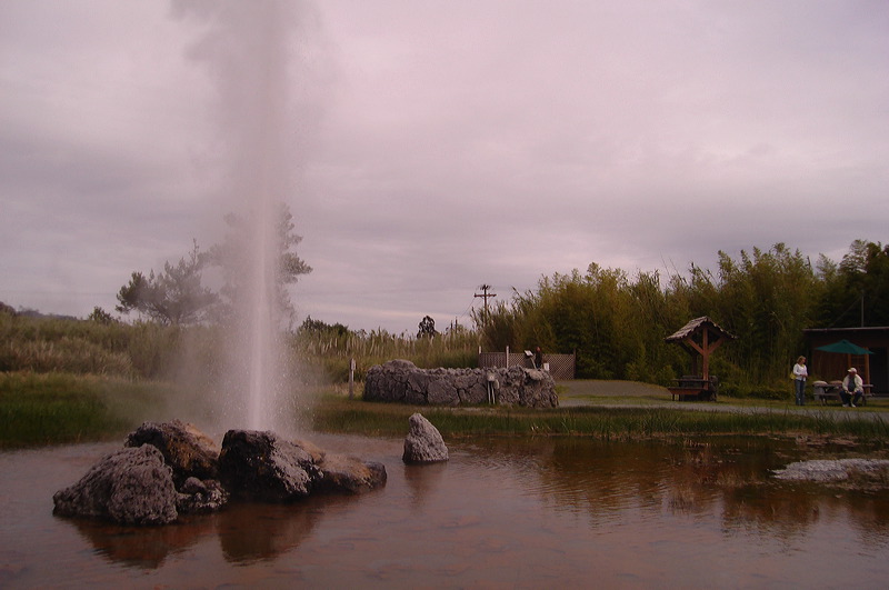 dsc00477.jpg