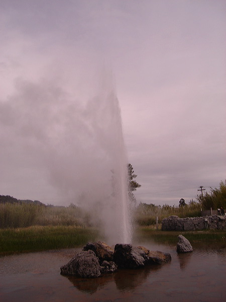 dsc00479.jpg