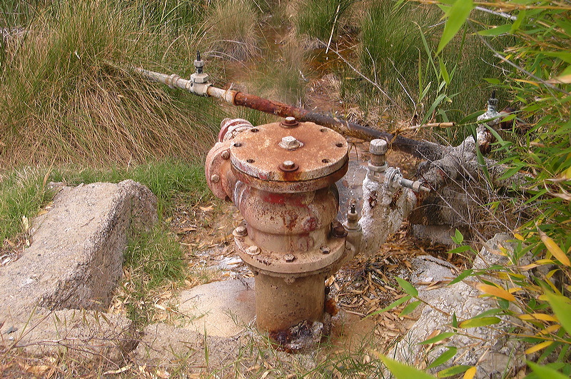 dsc00482.jpg