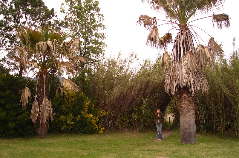dsc00483.jpg