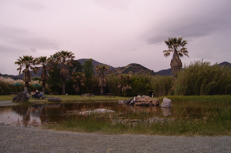 dsc00490.jpg