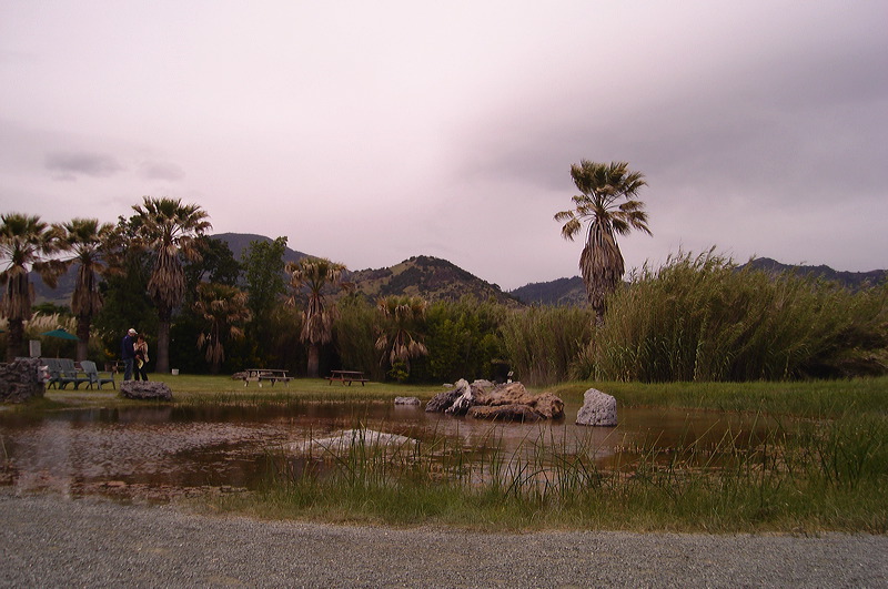 dsc00493.jpg