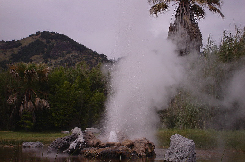 dsc00495.jpg