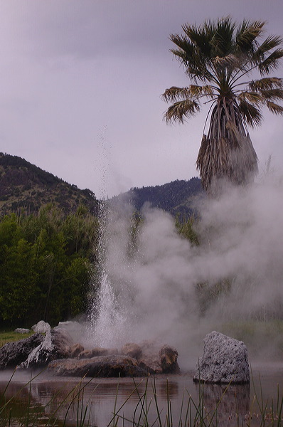 dsc00497.jpg